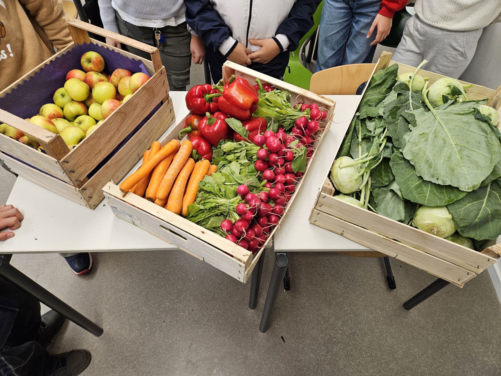 Gemeinsam für gesunde Ernährung: Kooperation mit Gemüsering und Kärcher